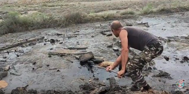 棒で犬の頭を持ち上げる