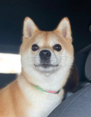「まだかな、もう着くかな」