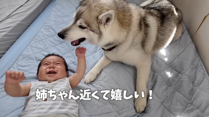 赤ちゃんも嬉しそう♪