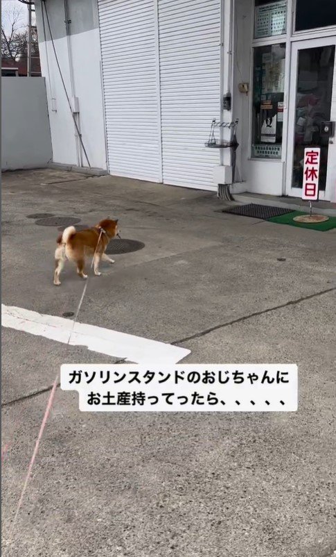 ガソリンスタンドを訪れたハナちゃん3