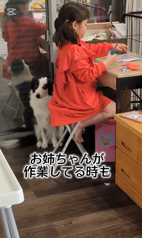 作業中のお姉ちゃんとアグちゃん