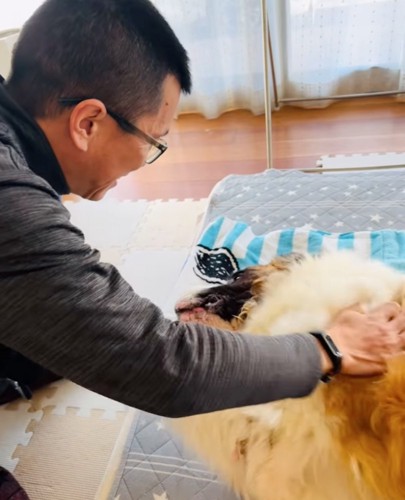 超大型犬と触れ合うお父さん