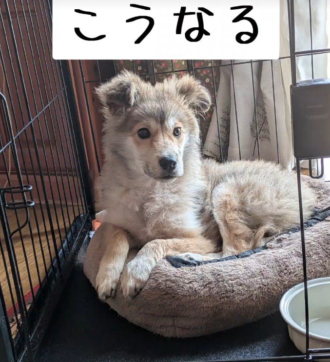 さらに1ヶ月後