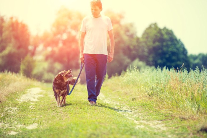 散歩する犬と男性