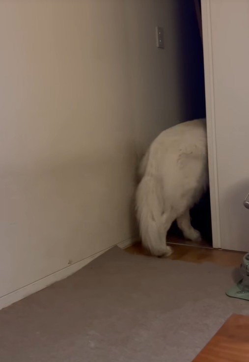 そのまま別の部屋へ