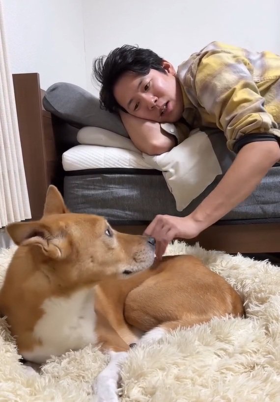 明智くんと飼い主さん