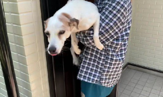 3ヶ月ぶりの再会に涙…