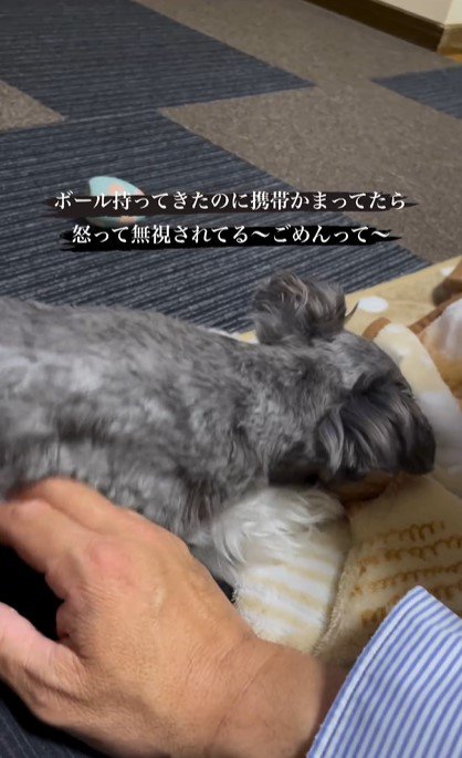 焦りながらさする続ける飼い主さん