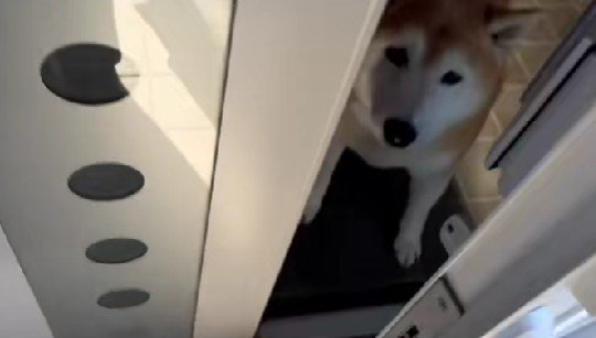 お母さんのお出迎え