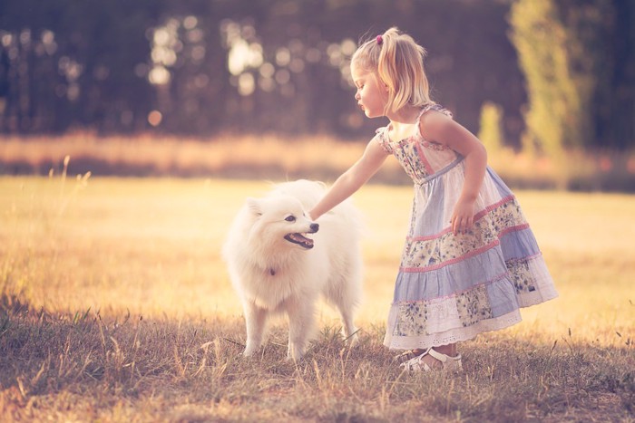 犬を触る子ども