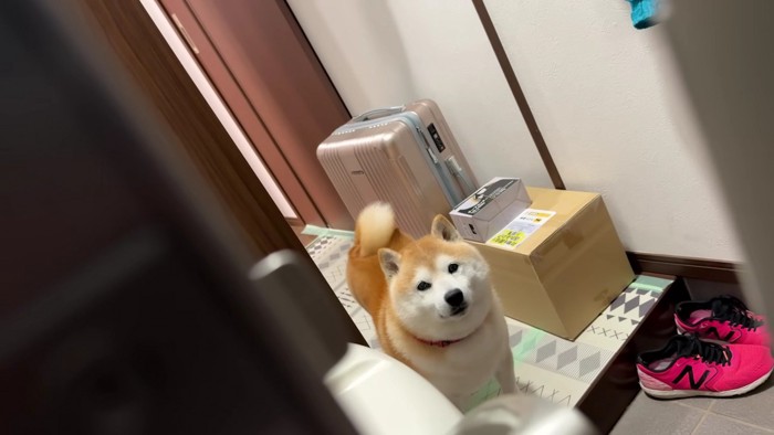 もういる！！