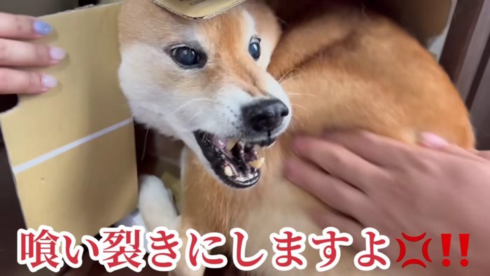 触られて鬼の形相に！