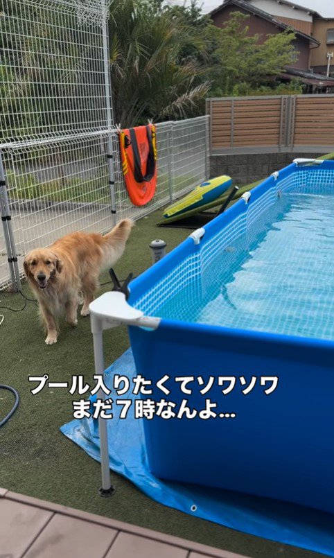 2人の女の子とシンバくんの夏休み2