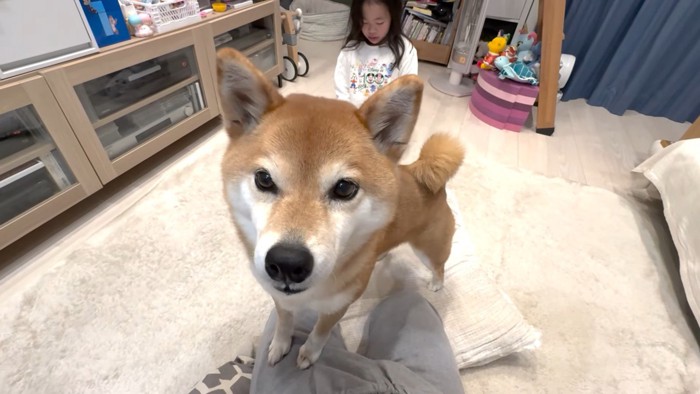 「やめてあげて!」