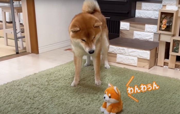 声マネするおもちゃ
