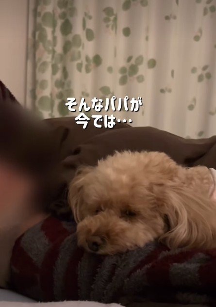 ももちゃんにメロメロ♡