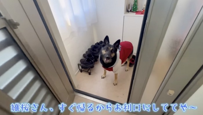 お留守番よろしくね