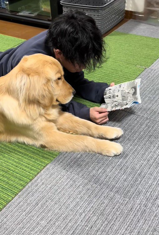 お兄ちゃんとべる君2