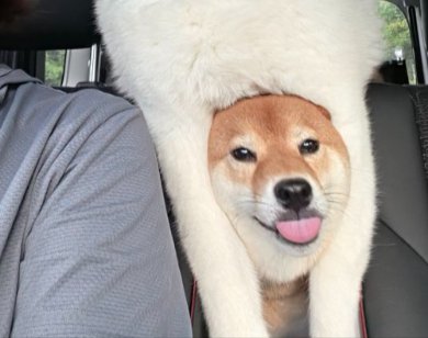顔ハメ