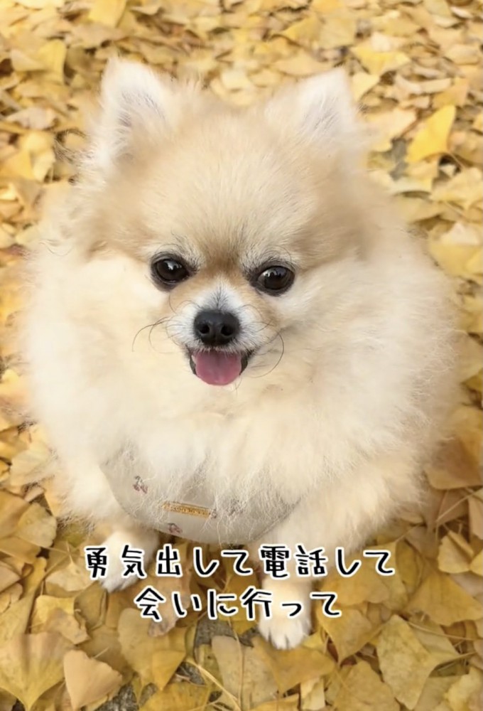 奇跡の出会いが幸せを呼び込みました