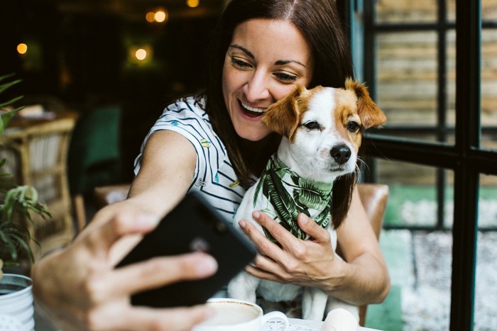 スマホで飼い主と自撮りする犬