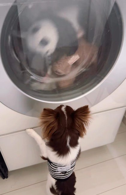 お気に入りのおもちゃが…