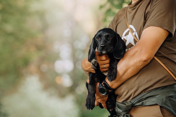 黒い子犬を抱っこして散歩する人