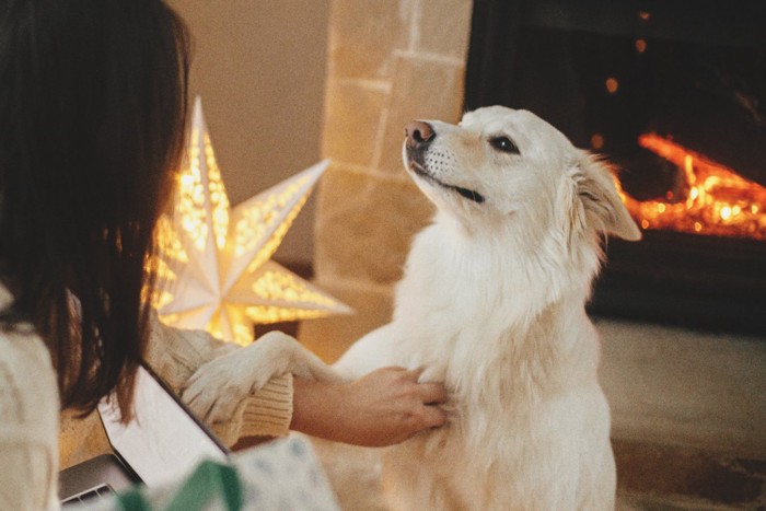 女性の腕に足を掛ける犬