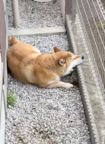 普段からこの場所がお気に入り
