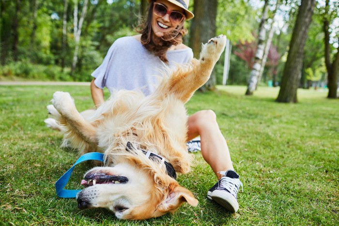 座る女性と転がる犬