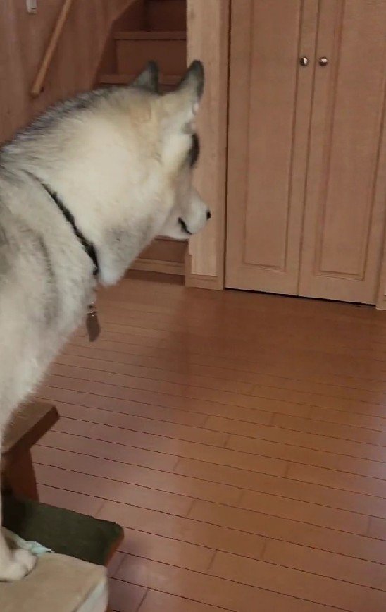 「え…？」