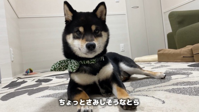 どんどん寂しくなってきたよう…