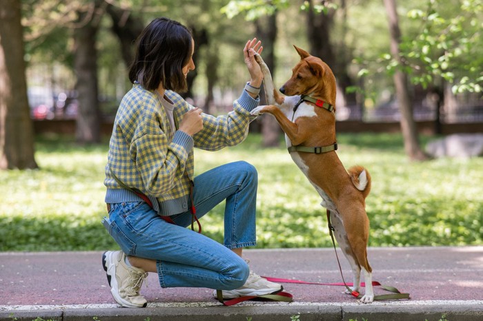 意思疎通する犬と飼い主