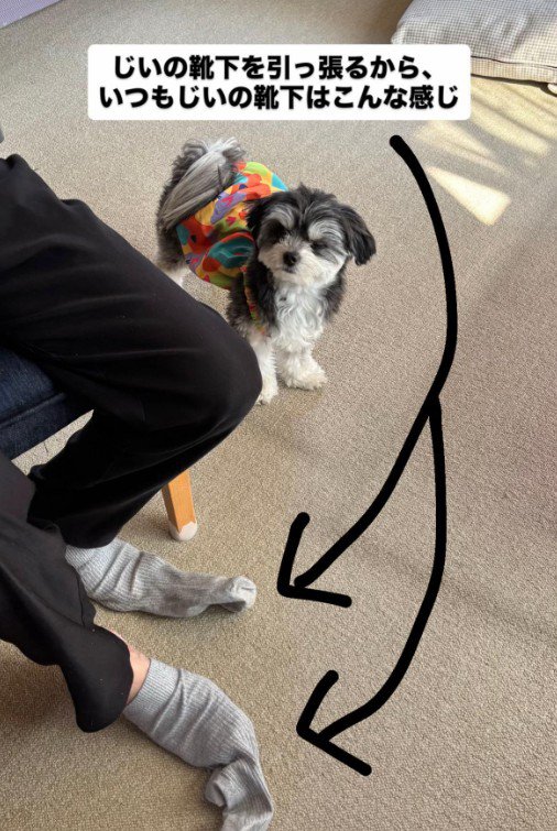 ニウちゃんとおじいちゃん6