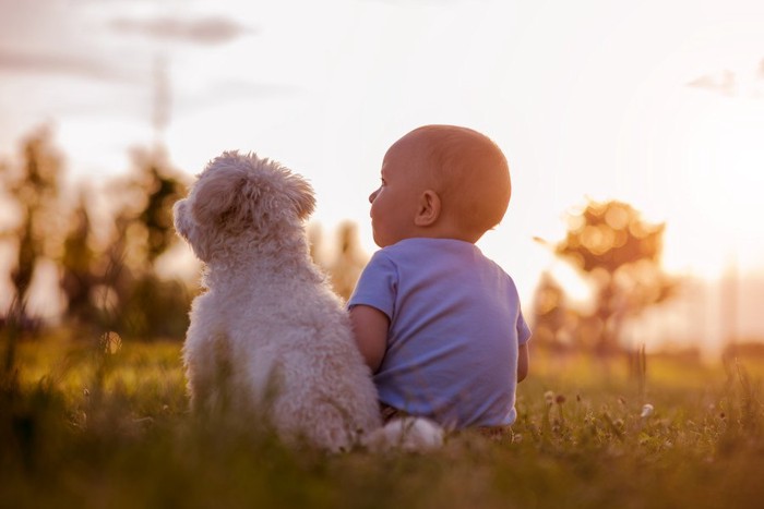 並んで座る子供と犬