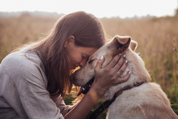 女性と額を合わせる犬