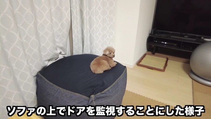 一旦冷静になってみた