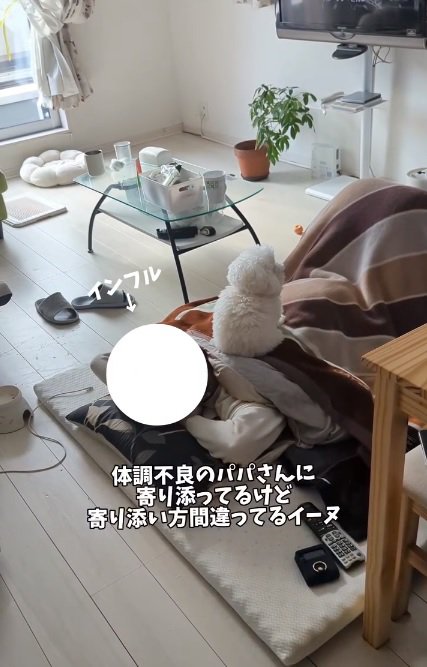 パパの上に乗るメロンさん