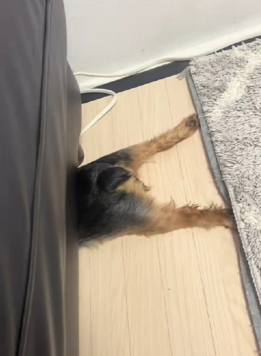 平泳ぎみたいに避難！！