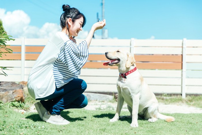 犬と遊ぶ女性