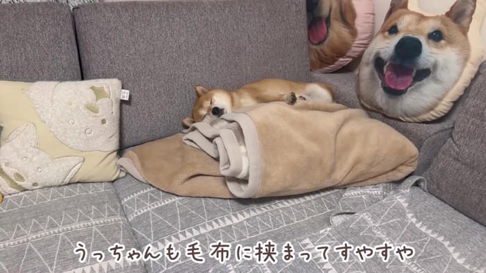 大満足のうにくんでした