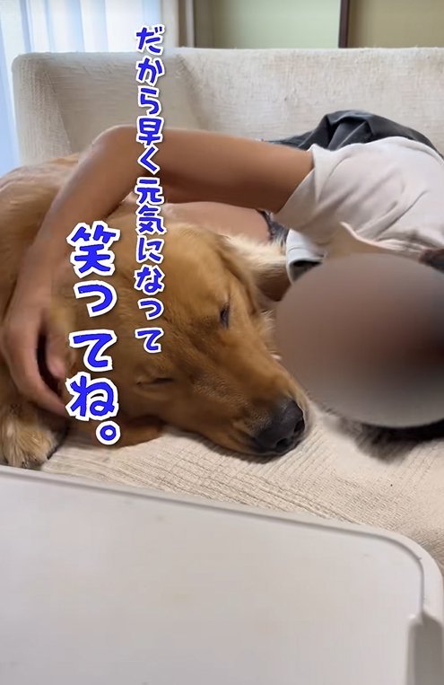 子供に寄り添う大型犬