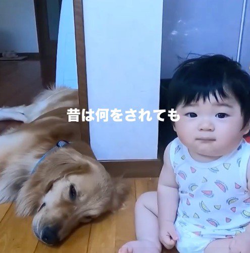 赤ちゃんのそばで寝そべる犬