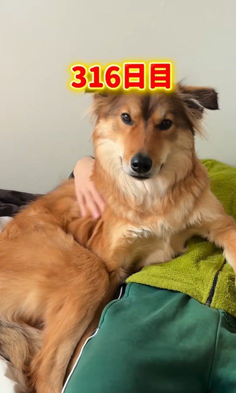お迎えから約1年後