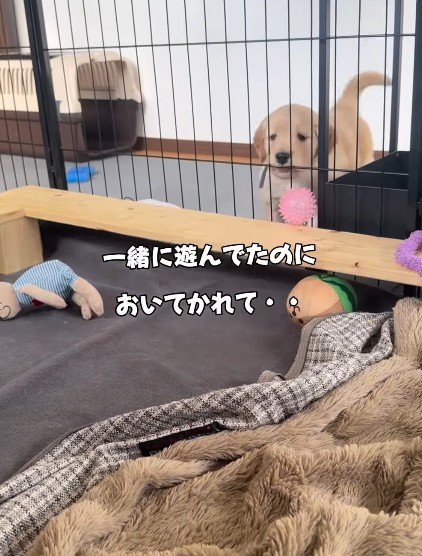 「置いて行かれた…」
