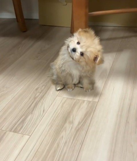 「それはなあに？」