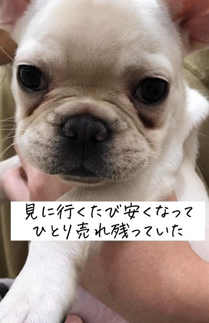 売れ残ってしまった