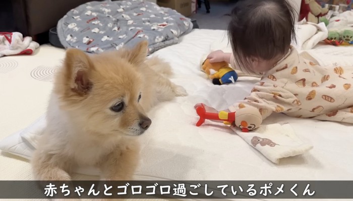 おもちゃで遊んでる赤ちゃん