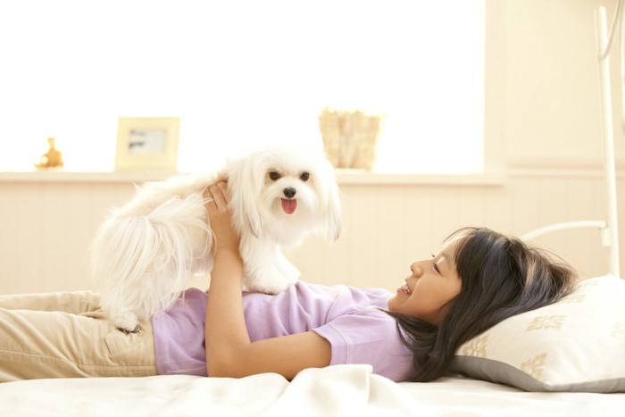 犬をお腹の上に乗せて遊ぶ少女