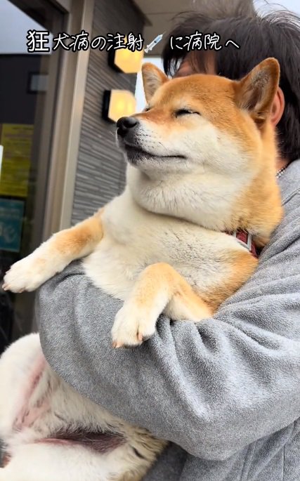 目をつぶるあーちゃん